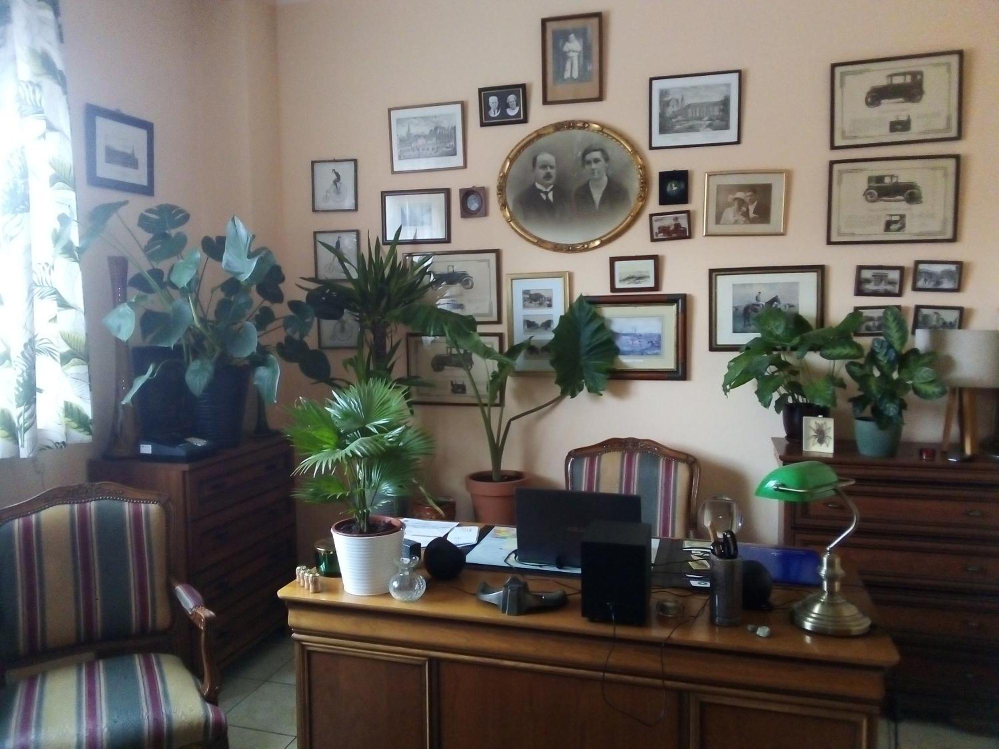 Villa Minerva Zielona Góra Exterior foto